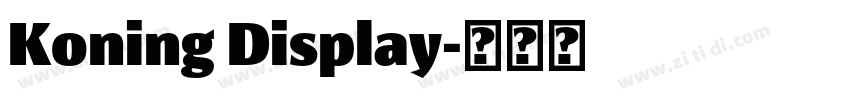 Koning Display字体转换